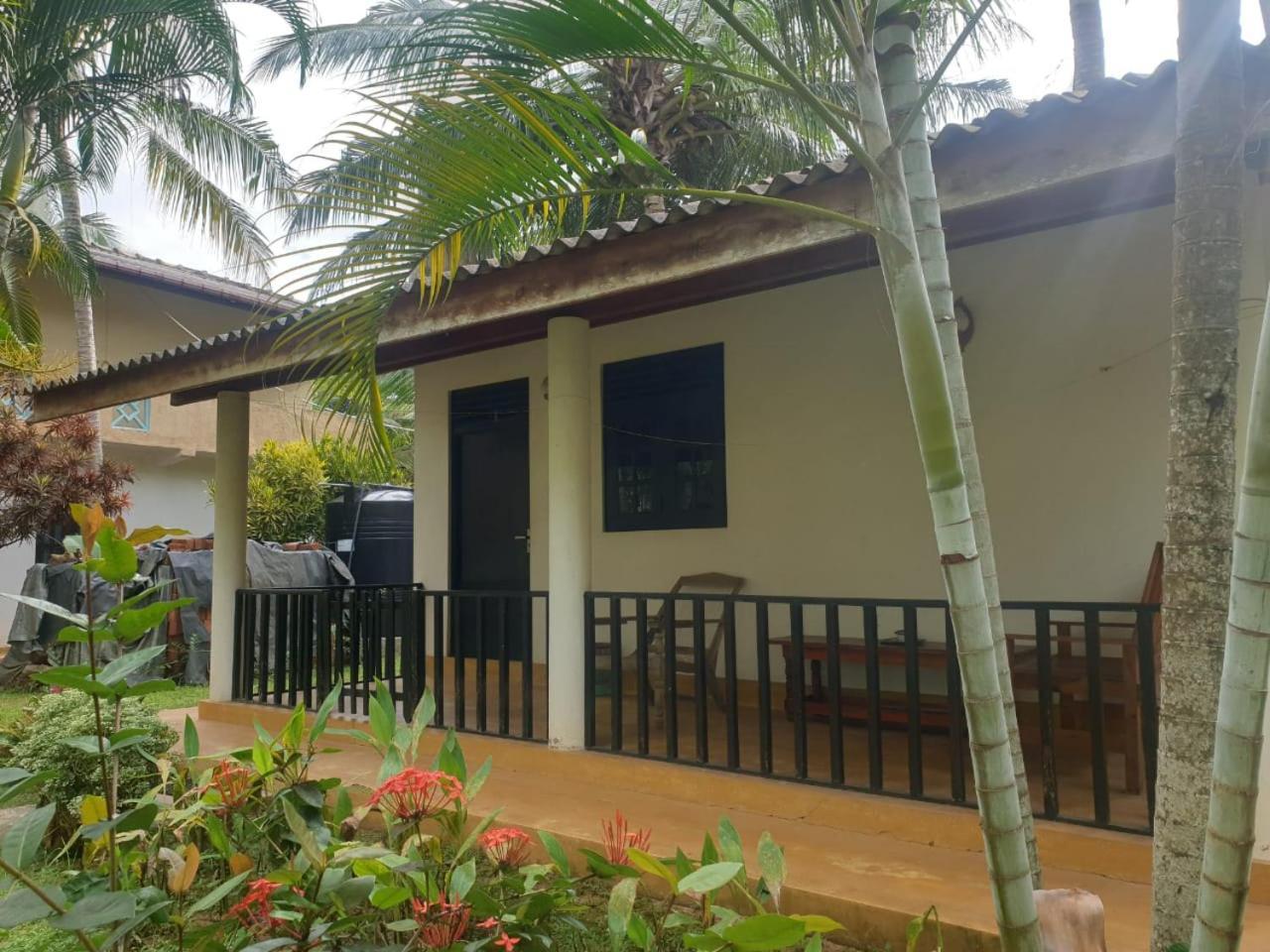 Beach Lagoon Guesthouse Tangalle Zewnętrze zdjęcie