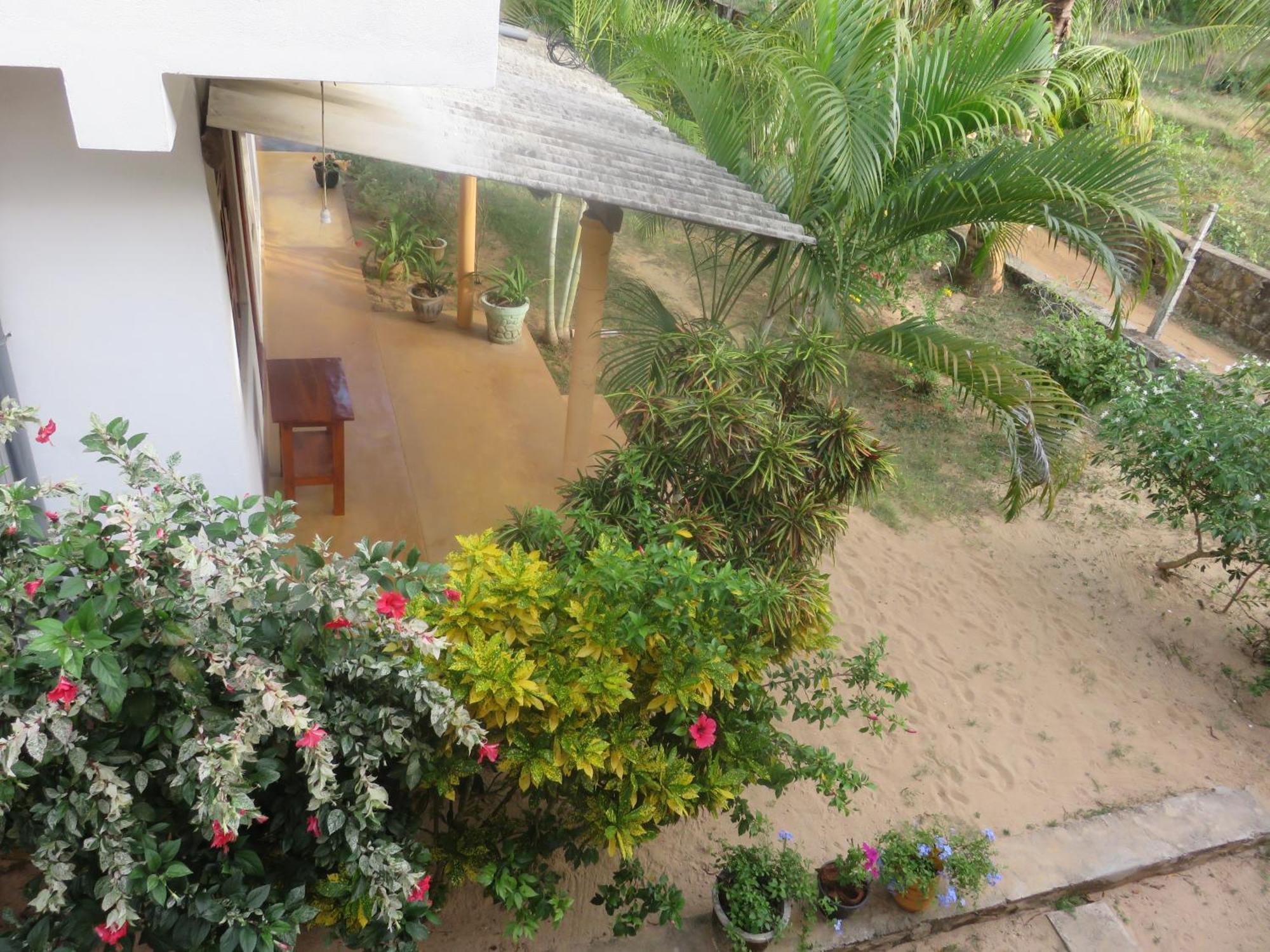 Beach Lagoon Guesthouse Tangalle Zewnętrze zdjęcie