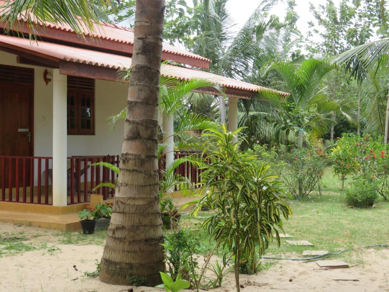 Beach Lagoon Guesthouse Tangalle Zewnętrze zdjęcie